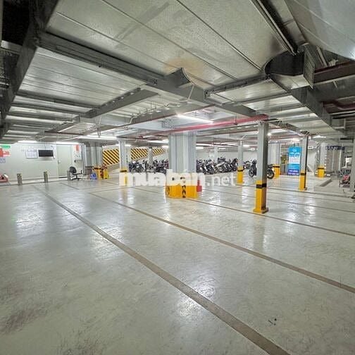 Cho Thuê Văn Phòng Khu Sân Bay Mộc Gia Phổ Quang An Ninh Tuyệt Đối