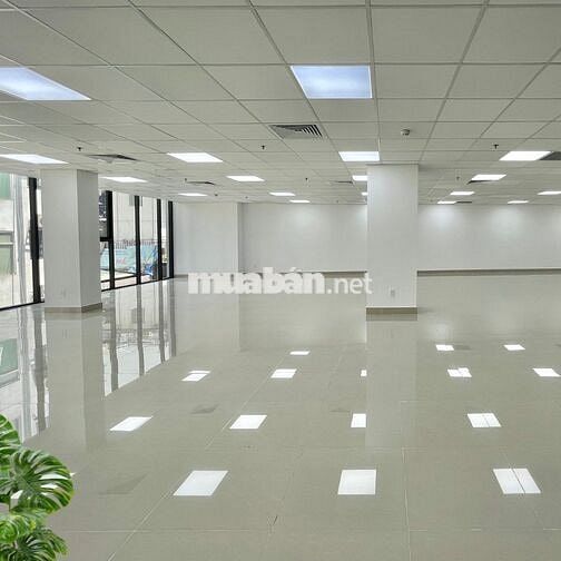 Cho Thuê Văn Phòng Khu Sân Bay Mộc Gia Phổ Quang An Ninh Tuyệt Đối