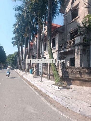 Biệt thự Bảo Sơn Lô 3 góc 220m - bàn giao thô - 40 tỷ.