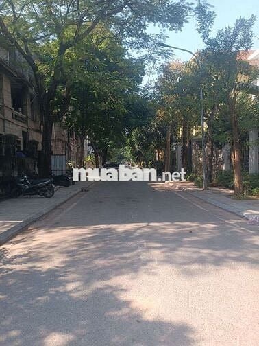 Biệt thự Bảo Sơn Lô 3 góc 220m - bàn giao thô - 40 tỷ.