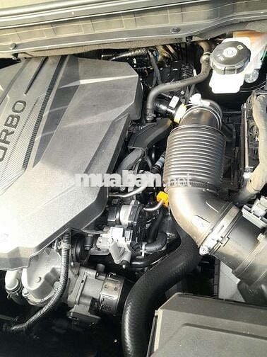 Carnival 2022 2.2D Premium 8 chỗ