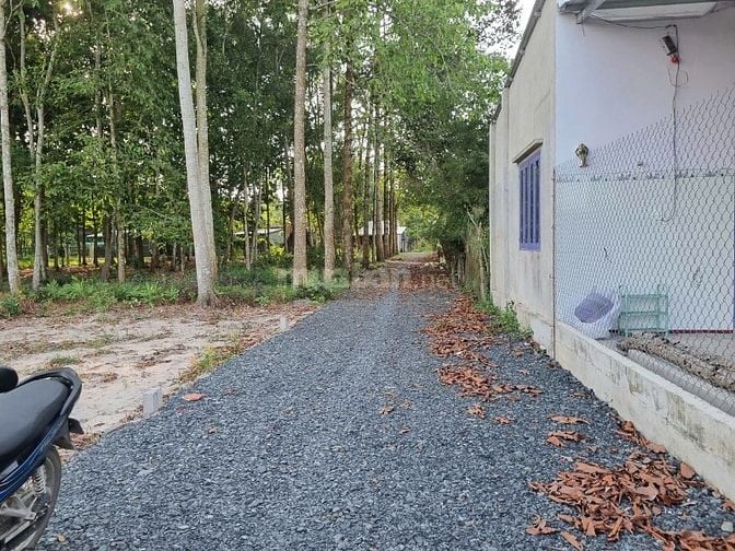 5x52 có thổ. Đường thông. Gần trường học. 350tr 