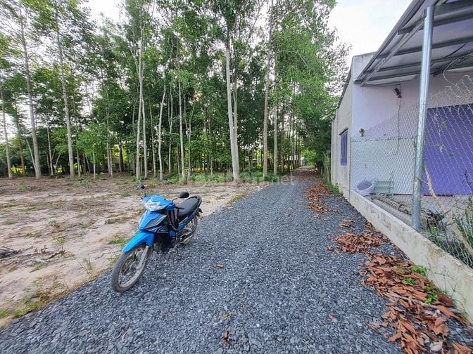 5x52 có thổ. Đường thông. Gần trường học. 350tr 