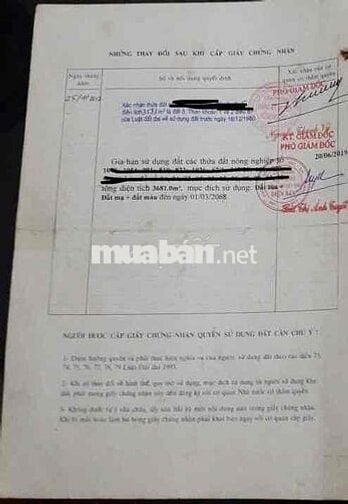 Thửa đất lớn thuộc xã Điện Hoà (cũ), chính chủ bán