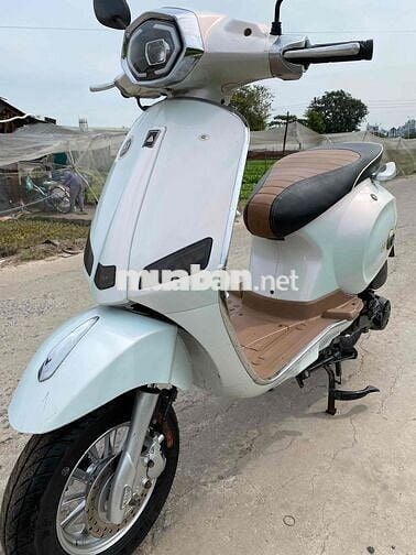 tay ga 50cc 2023 chính chủ