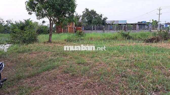 BÁN ĐẤT 1914 m2 tại Tân Trụ -  Long An