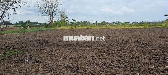 BÁN ĐẤT 1914 m2 tại Tân Trụ -  Long An