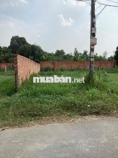 Bán đất mặt tiền đường cây gõ an phú củ chi