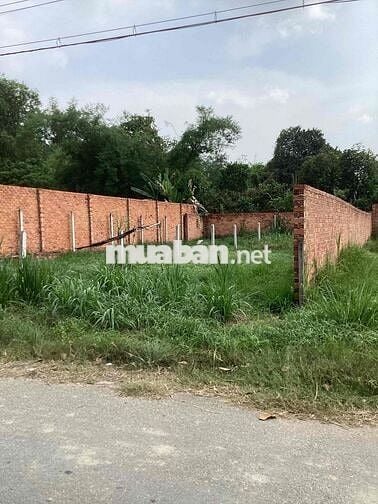 Bán đất mặt tiền đường cây gõ an phú củ chi