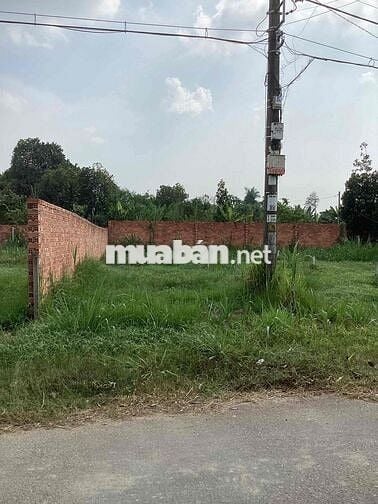 Bán đất mặt tiền đường cây gõ an phú củ chi