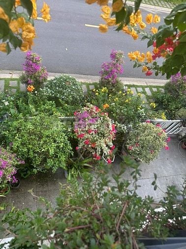 CHÍNH CHỦ BÁN CĂN GÓC 2 MẶT TIỀN VIEW CÔNG VIÊN DỰ ÁN KHANG ĐIỀN BÌNH 