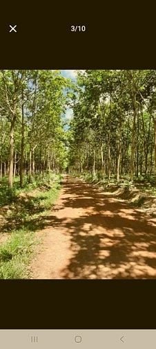 Bán đất Xã Đạ Tẻh 2 (Huyện Đạ Huoai cũ), Tỉnh Lâm Đồng