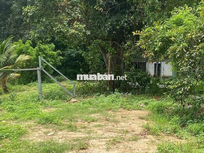 Đất view sông trung tâm tp. Biên Hoà 9600m2 giá rẻ như cho