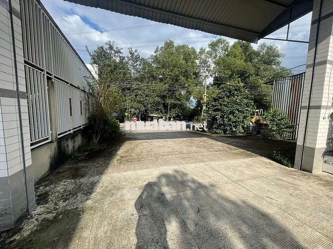 Cho thuê kho xưởng bến cát bình dương