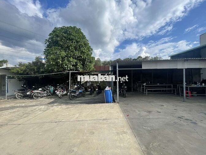 Cho thuê kho xưởng bến cát bình dương