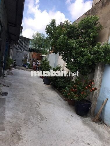 Cho thuê nhà nguyên căn dtst 20m2 gác lửng XTT 17-XTT 1 chợ XTTHỰƠNG