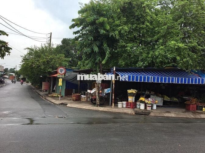 Cho thuê nhà nguyên căn dtst 20m2 gác lửng XTT 17-XTT 1 chợ XTTHỰƠNG