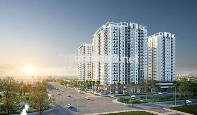 Chính chủ bán chung cư Lovera Vista