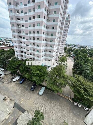 CẦN BÁN CĂN HỘ NHẤT LAN 3 NHÀ ĐẸP , 60m2    2tỷ 300 , SHR