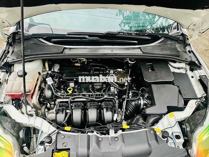 Ford Focus S Hatchback 2014 Trắng 126903 km