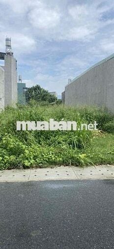bán đất DX025 gần KCN Đại đăng .