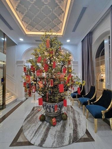 Bán Biệt Thự 10x20 đường Đặng Thuỳ Trâm, P.13-Q.Bình Thạnh. Giá Tốt