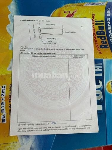 Mặt đường nhựa apphan rộng 9m hoa động 