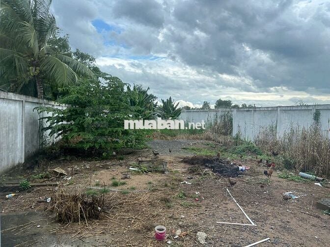 Kho xưởng có nhà văn phòng 1.500m² đường QL 91B (Nguyễn Văn Linh)