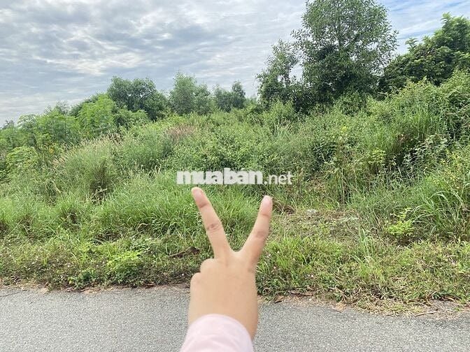 Bán đất Thái Mỹ,gần ql22 15x76m giá chỉ từ 2ty có thổ cư đường nhựa