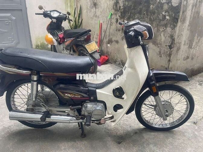 Dream việt đời đầu biển Hà Nội