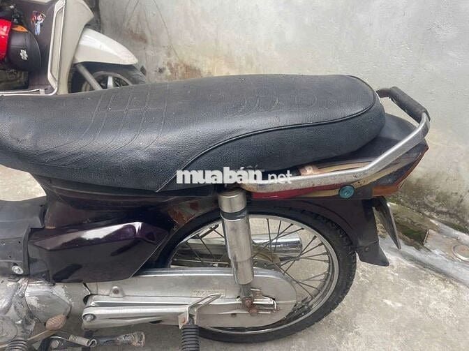 Dream việt đời đầu biển Hà Nội