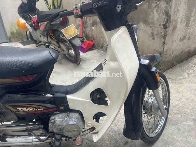 Dream việt đời đầu biển Hà Nội