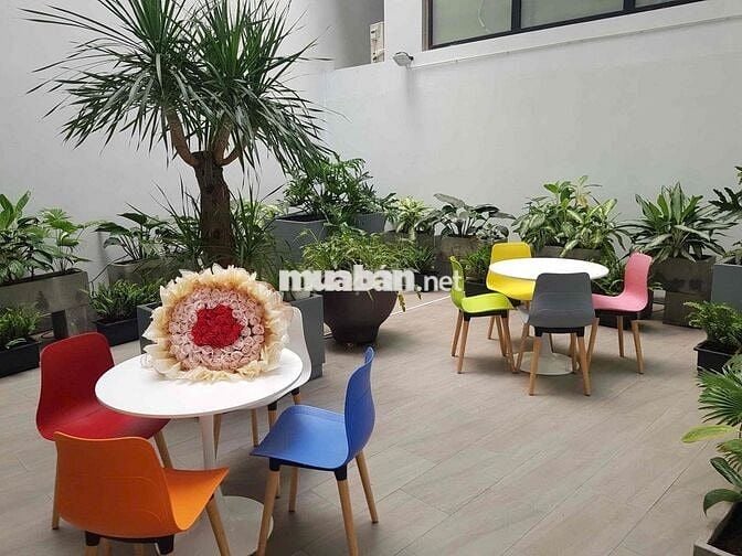 Chung Cư Mini 1PN Full NT 50m2_Gần CV Lê Thị Riêng Q10