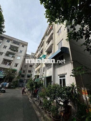 Chung cư Hồ Văn Huê, Phú Nhuận, 60m2, tầng thấp, chỉ 3.7 tỉ