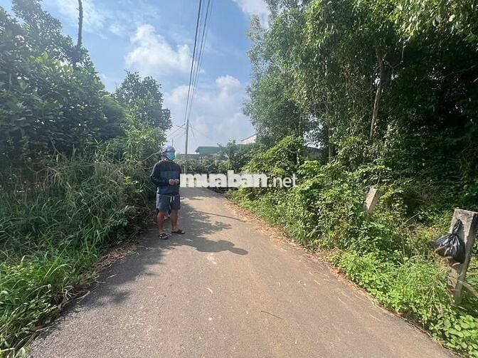 Bán đất ful thổ Phạm Thị Thàng,Củ Chi, SHR,DT 175m2 giá chỉ 1.150 tỷ