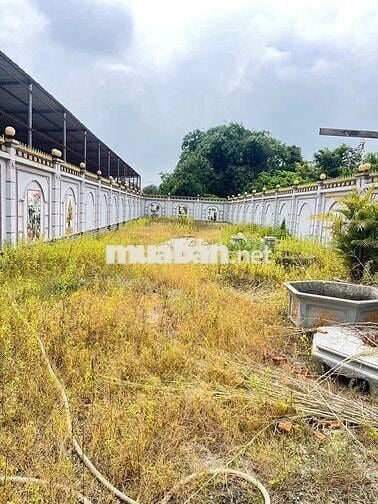 ĐẤT ( 9,3x42) ĐÃ LÊN 200 THỔ NGAY TTCC MT ĐỖ QUANG CƠ GIÁ 850 TRIỆU