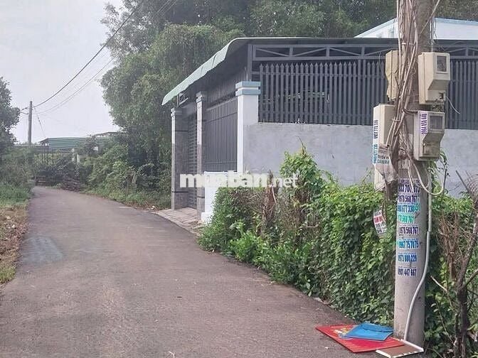 Bán đất ful thổ Phạm Thị Thàng,Củ Chi, SHR,DT 175m2 giá chỉ 1.150 tỷ