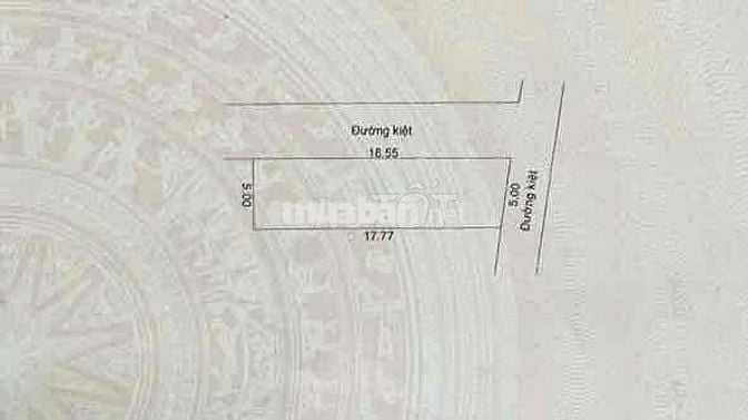 CHÍNH CHỦ BÁN ĐẤT 2 MẶT KIỆT Ô TÔ MAI ĐĂNG CHƠN