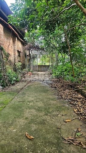 Cần bán 2 lô thổ cư tại đồng mai 