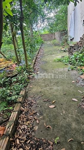 Cần bán 2 lô thổ cư tại đồng mai 