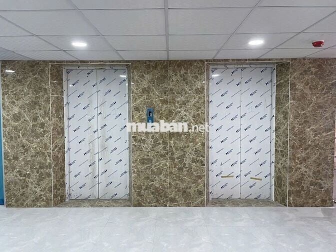 CHO THUÊ TOÀ NHÀ MẶT TIỀN ĐƯỜNG BẠCH ĐẰNG 8,6X24M 6L CÓ THANG MÁY PCCC