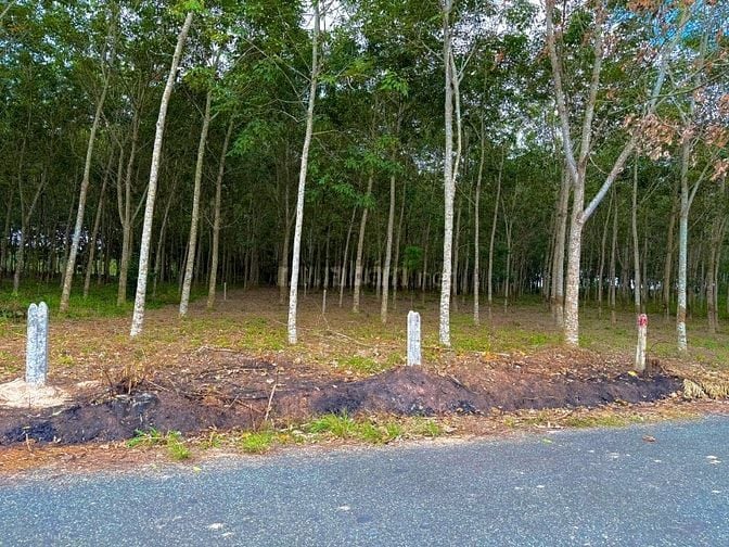 🏡 BÁN LÔ ĐẤT ĐẸP – CÁCH DT749A CHỈ 100M – GIÁ ĐẦU TƯ