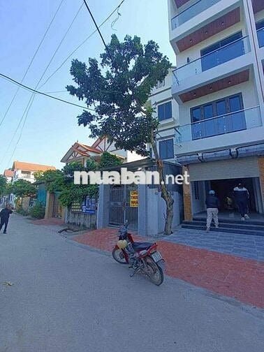 nhà Phụng Châu- Ô tô vào 5.3 tỷ