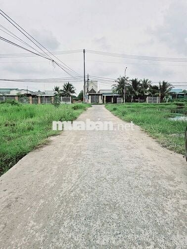 Chính chủ gửi bán, 5x22 giá 990 triệu, dường thông, shr, Đức Hòa Đông