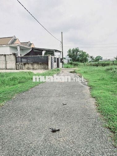 Chính chủ gửi bán, 5x22 giá 990 triệu, dường thông, shr, Đức Hòa Đông