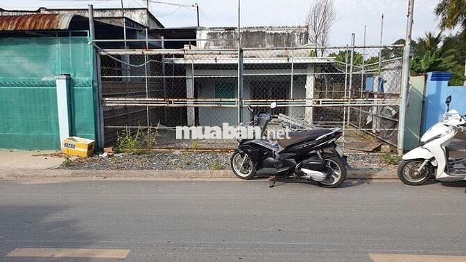 Bán nhà cấp 4 8m x 24m mặt tiền Phạm Thị Ly, Xuân Thới Sơn, Hóc Môn