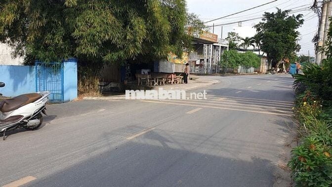 Bán nhà cấp 4 8m x 24m mặt tiền Phạm Thị Ly, Xuân Thới Sơn, Hóc Môn