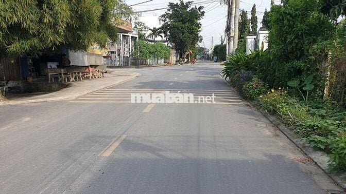 Bán nhà cấp 4 8m x 24m mặt tiền Phạm Thị Ly, Xuân Thới Sơn, Hóc Môn