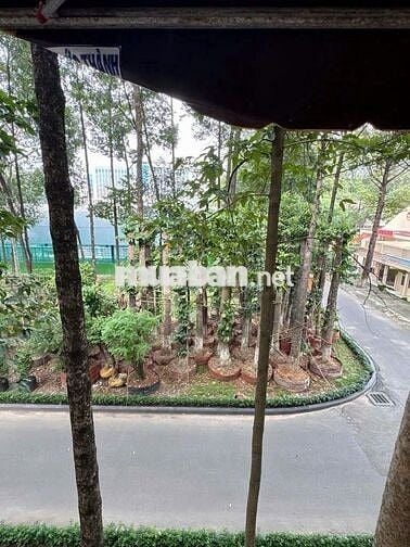 C/c HỒ VĂN HUÊ PHÚ NHUẬN 60m2 -CÔNG VIÊN XANH MÁT-SÁT QUẬN 1 QUẬN 3