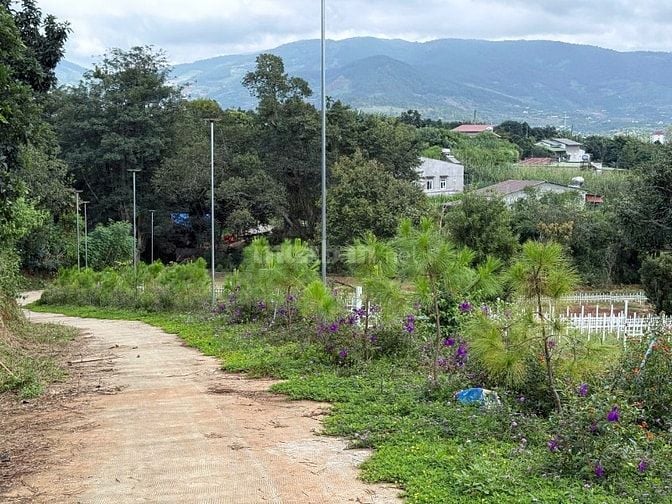 Lô đất trung tâm Nam Ban, cách DT 725 400m, chợ Thăng Long 900m, giá c